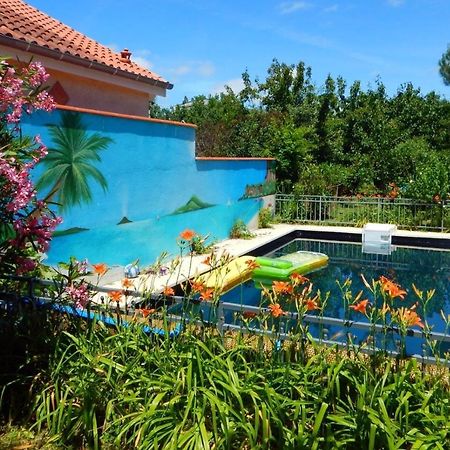 2 Chambres Et Salle De Bain Un Oasis De Bien Etre Piscine Et Jardin Direct Gare Aeroport Toulouse Ngoại thất bức ảnh