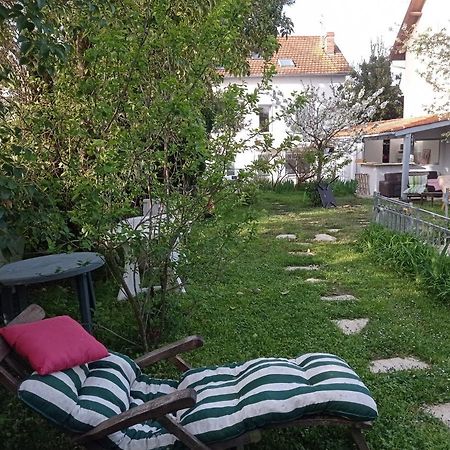 2 Chambres Et Salle De Bain Un Oasis De Bien Etre Piscine Et Jardin Direct Gare Aeroport Toulouse Ngoại thất bức ảnh