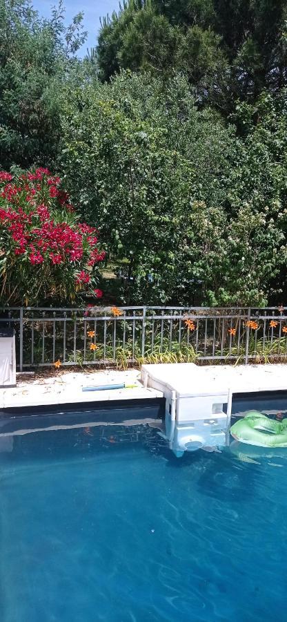 2 Chambres Et Salle De Bain Un Oasis De Bien Etre Piscine Et Jardin Direct Gare Aeroport Toulouse Ngoại thất bức ảnh