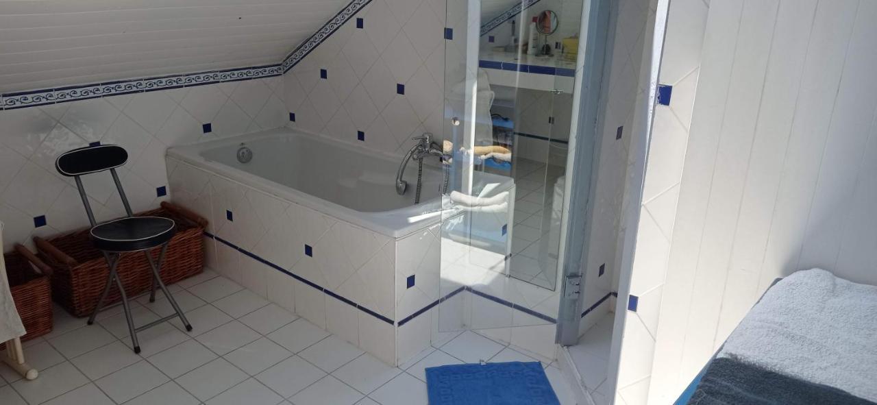 2 Chambres Et Salle De Bain Un Oasis De Bien Etre Piscine Et Jardin Direct Gare Aeroport Toulouse Ngoại thất bức ảnh