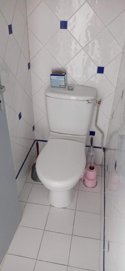 2 Chambres Et Salle De Bain Un Oasis De Bien Etre Piscine Et Jardin Direct Gare Aeroport Toulouse Ngoại thất bức ảnh