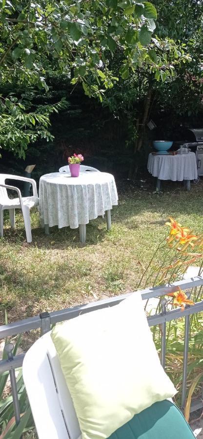 2 Chambres Et Salle De Bain Un Oasis De Bien Etre Piscine Et Jardin Direct Gare Aeroport Toulouse Ngoại thất bức ảnh