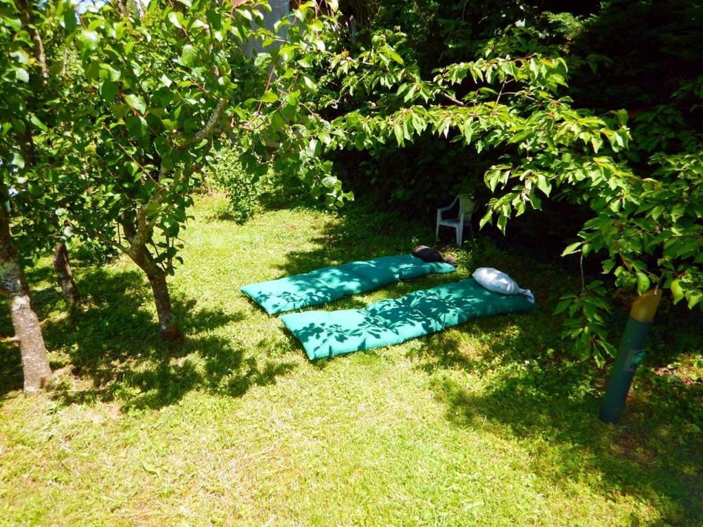 2 Chambres Et Salle De Bain Un Oasis De Bien Etre Piscine Et Jardin Direct Gare Aeroport Toulouse Ngoại thất bức ảnh